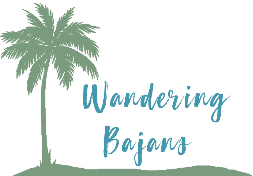 Wandering Bajans Shop